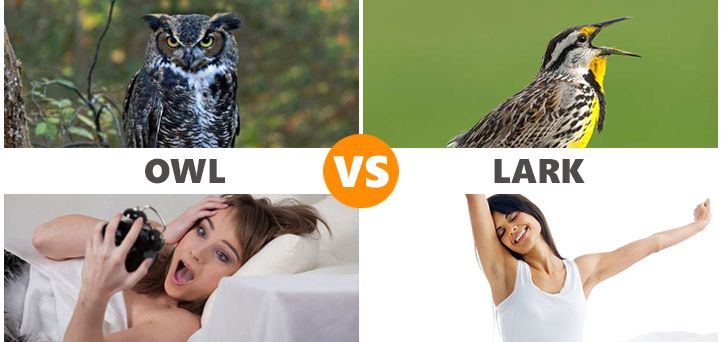 អត្ថប្រយោជន៍នៃការភ្ញាក់ពីព្រលឹម