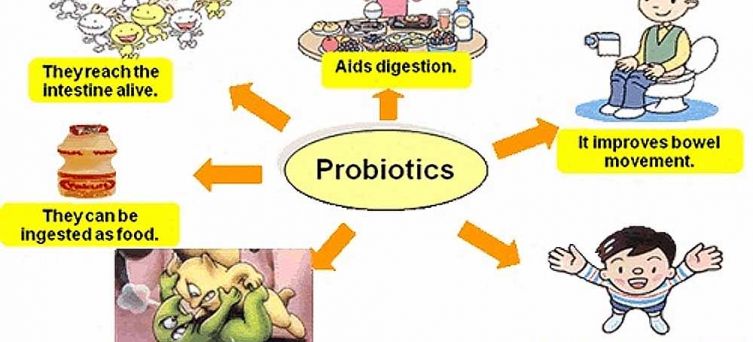 ប្រូបាយអូទិក៖អតិសុខុមប្រាណដែលមានប្រយោជន៍សម្រាប់ធ្វើឱ្យរាងកាយមានសុខភាពល្អ
